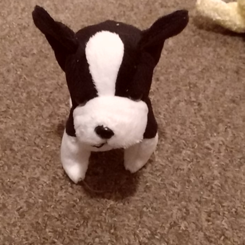 Stuff animals